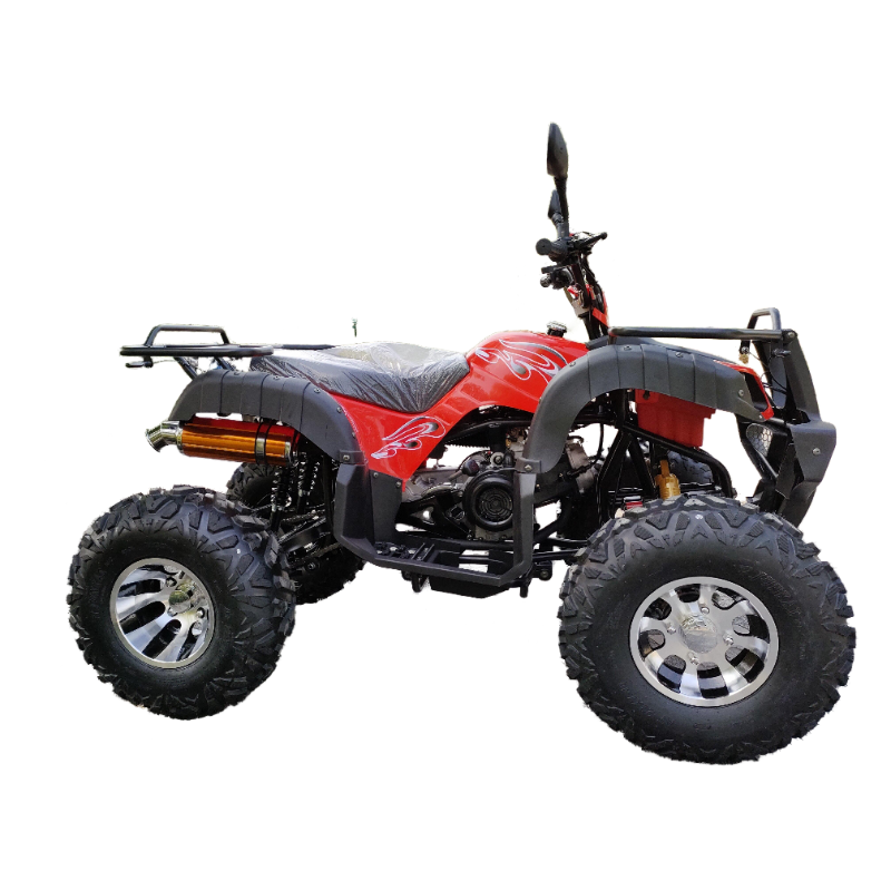 Hot sale model 150cc atv 4X2 2 wheel 4 wheel ATV off road for sale